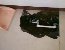 南和卫生间测漏水多少钱